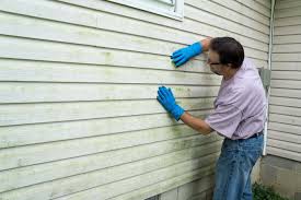 Best Storm Damage Siding Repair  in Sierra Madre, CA